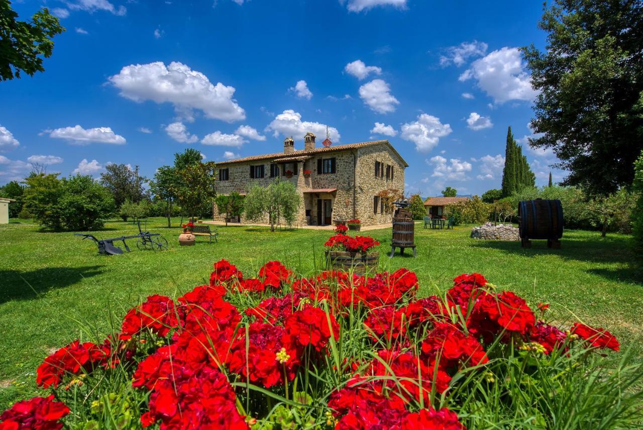 Agriturismo Le Terre Del Casale Assisi Kültér fotó